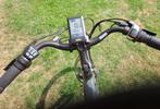 Veloci Vivid electrische herenfiets, Fietsen en Brommers, Gebruikt, 51 tot 55 cm, 50 km per accu of meer, Ophalen