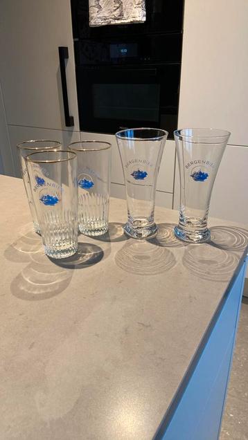 Brasserie Bergenbier Zeeberg Alost, Enlèvement ou Envoi, Comme neuf