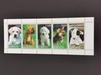 Republiek Buriatia (Rusland) 1997 - honden - puppies, Ophalen of Verzenden, Postfris