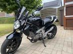 Suzuki Gladius SFV650, Motoren, Particulier