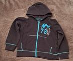{ Trui ( maat 110-116), Kinderen en Baby's, Kinderkleding | Maat 110, Ophalen of Verzenden, Zo goed als nieuw, Jongen, Trui of Vest