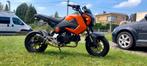 (honda copie Msx ) Motrac m3 125 cc, Motos, Motos | Marques Autre, Particulier
