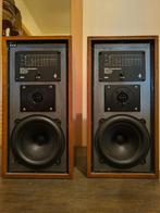 B&W DM5 luidsprekers, Audio, Tv en Foto, Ophalen, Gebruikt, 60 tot 120 watt, Bowers & Wilkins (B&W)