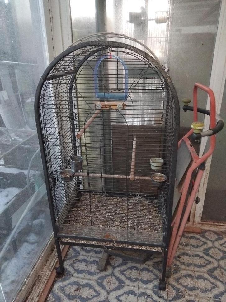 Cage volière a vendre, Animaux & Accessoires, Oiseaux | Cages & Volières, Utilisé, Volière, Métal, Enlèvement