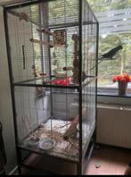 Papegaaienkooi/ grote parkieten, Dieren en Toebehoren, Vogels | Hokken en Kooien, Ophalen, Gebruikt
