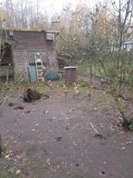 Loopeenden, Plusieurs animaux, Canard