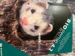 Biogenie 4.2 werkboek, Boeken, ASO, Biologie, Ophalen of Verzenden, De Boeck