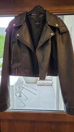 Veste genre perfecto taille 38, Ophalen of Verzenden, Gedragen, Maat 38/40 (M), Zwart