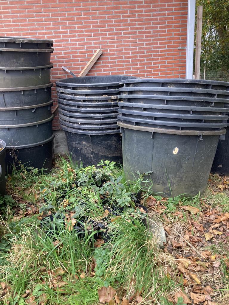 boomcontainers, plantkuipen, Ophalen, Kunststof, Gebruikt, Rond