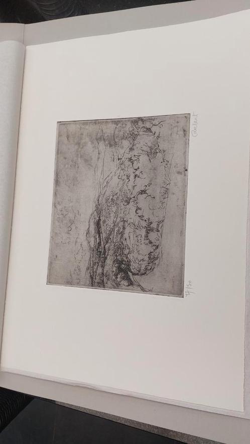 4 etsen,  gedrukt op Zerkall-Butten papier , 340 gr., Antiek en Kunst, Kunst | Etsen en Gravures, Ophalen