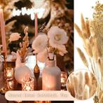 Herbe de pampa séchée | Fleurs séchées | Nouveau, Maison & Meubles, Accessoires pour la Maison | Fleurs séchées, Neuf, -, -, Zjtape