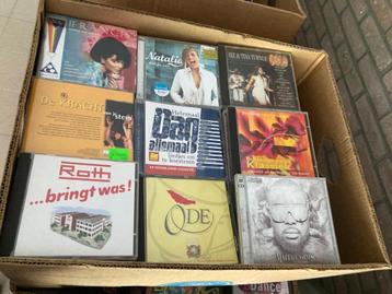 Collectie cd's (+/- 3500) beschikbaar voor biedingen