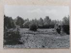 oude postkaart Koersel (Limburg)