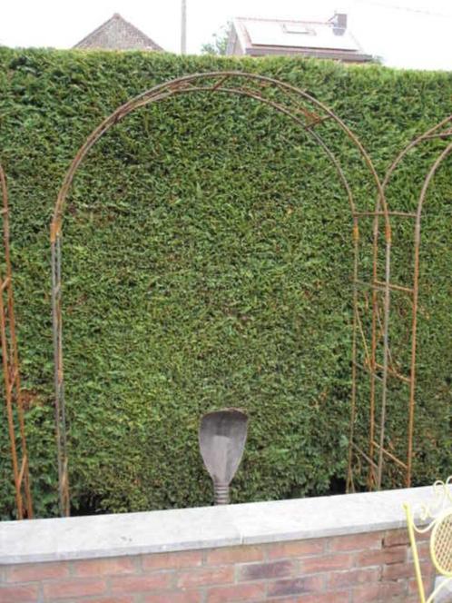 Volledig smeedijzeren boog of boog van 16 mm! geweldige keuz, Tuin en Terras, Tuinmeubel-accessoires, Nieuw, Ophalen