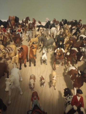 Heel veel Schleich paarden beschikbaar voor biedingen