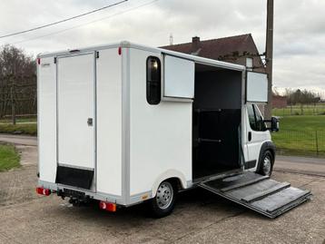 🐴Citroën Jumper 3.0HDI Paardencamionette Horses beschikbaar voor biedingen