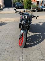 Ducati monster +, Motos, Motos | Ducati, Permis Moto A, Plus de 35 kW, 2 cylindres, 937 cm³