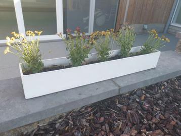 2 belles jardinières de 1 mètre fleuries. Livraison possible beschikbaar voor biedingen