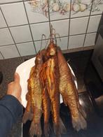 Forel gerookt vers, Ophalen of Verzenden, Nieuw