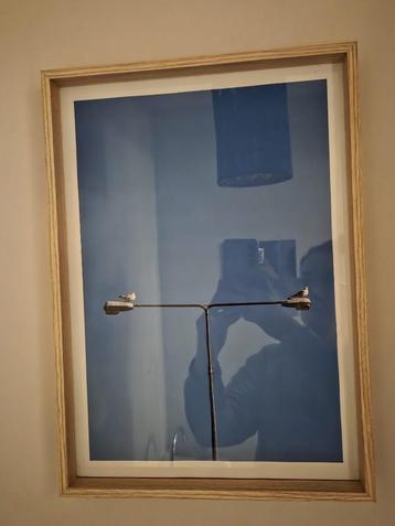 Ingelijste fotoprint met meeuwen beschikbaar voor biedingen