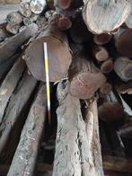 Taxus houten balken en stammen tax, Doe-het-zelf en Bouw, Hout en Planken, Ophalen, 25 tot 50 mm, Overige typen, Nieuw