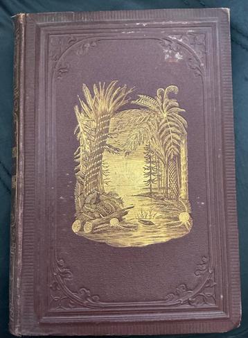 De schepping, J. J. L. Ten Kate beschikbaar voor biedingen