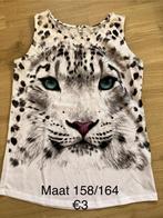 Kledij meisje maat 158, Kinderen en Baby's, Kinderkleding | Maat 158, Meisje, Ophalen of Verzenden, Zo goed als nieuw, Shirt of Longsleeve