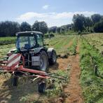 Voordroog hooi te koop Denderhoutem, Zakelijke goederen, Landbouw | Veevoer, Ophalen