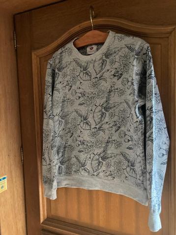 Dames sweatshirt Petrol beschikbaar voor biedingen