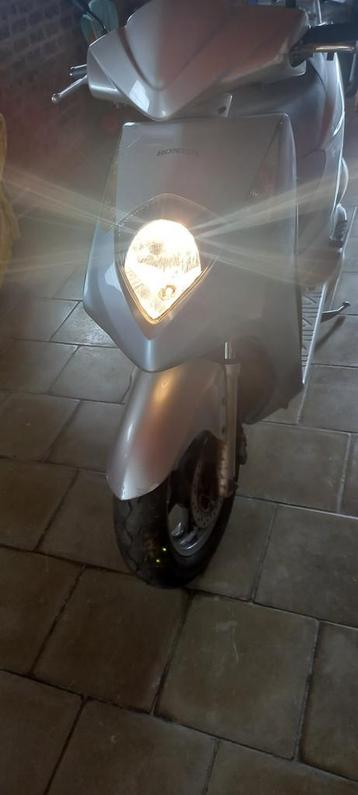 Scooter Honda Dylan te Koop 