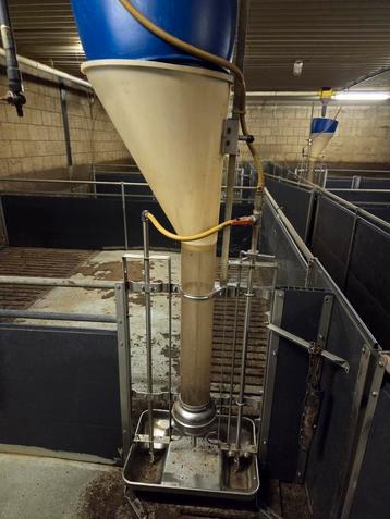 Stalinrichting voor vleesvarkens. beschikbaar voor biedingen
