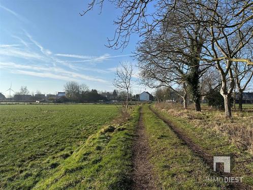 Grond te koop in Diest, Immo, Gronden en Bouwgronden, 1500 m² of meer