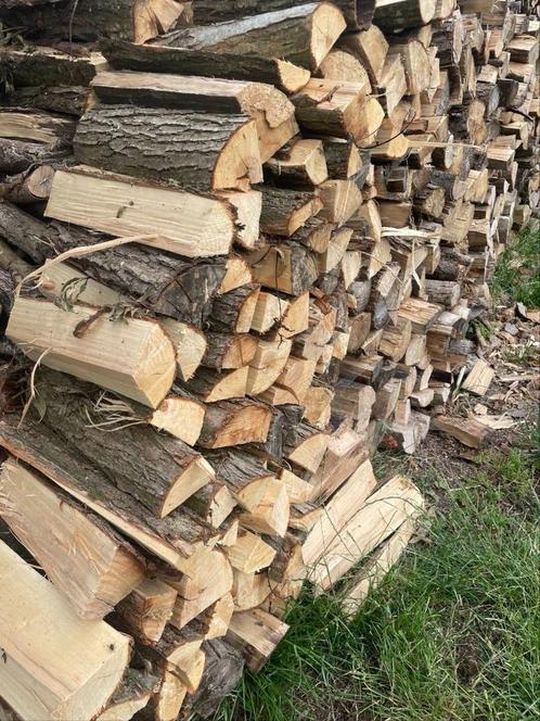 Wilgenhout te koop – €60 per losse kuub brandhout, Tuin en Terras, Brandhout, Blokken, Ophalen of Verzenden