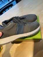 Herenschoenen NIEUW, Vêtements | Hommes, Chaussures, Neuf, Autres couleurs, Chaussures à lacets, Enlèvement