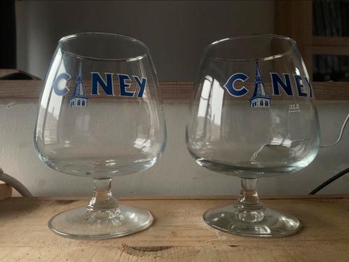 Ciney, Verzamelen, Biermerken, Zo goed als nieuw, Glas of Glazen, Overige merken, Ophalen of Verzenden