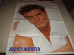 Poster Ricky Martin/The nutty professor : The Klumps, Ophalen of Verzenden