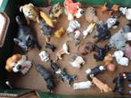 Katten en honden, Ophalen