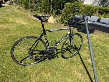 Racefiets Colnago Primavera zwart/grijs, Fietsen en Brommers, Gebruikt, 26 inch, 15 tot 20 versnellingen, 57 tot 61 cm