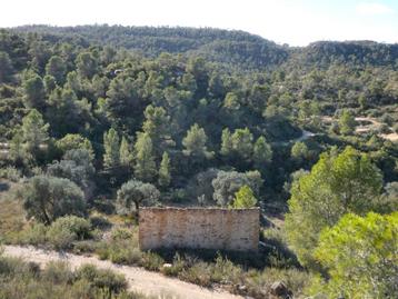 Finca in Maella (Aragón, Spanje) - 0954 beschikbaar voor biedingen