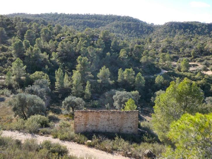 Finca in Maella (Aragón, Spanje) - 0954, Immo, Buitenland, Spanje, Overige soorten, Landelijk