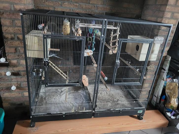 kooi met een koppel valkparkieten van 2021, Dieren en Toebehoren, Vogels | Hokken en Kooien, Zo goed als nieuw, Vogelkooi, Ophalen