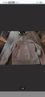 Jas tommy hilfiger, Ophalen of Verzenden, Zo goed als nieuw, Maat 46 (S) of kleiner