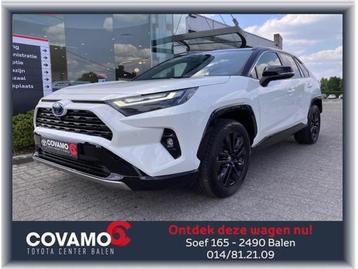 Toyota RAV-4 STYLE PLUS  beschikbaar voor biedingen