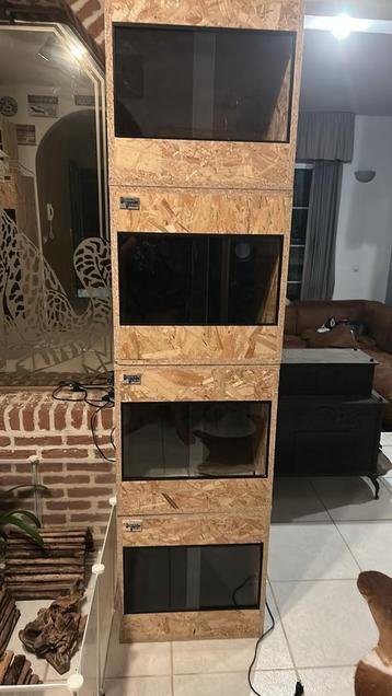 Nieuwe OSB terrarium 50/50/50  beschikbaar voor biedingen