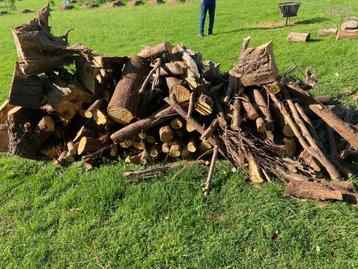 brandhout alle soorten en vormen, Tuin en Terras, Brandhout, 3 tot 6 m³, Ophalen, Overige houtsoorten, Stammen