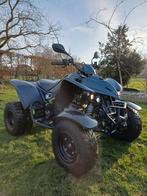 Quad Maxxer 300 agricole, 300 cm³, 12 à 35 kW