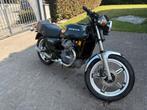 Honda, Particulier