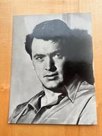 Grote foto filmster Rock Hudson -Jaren 60, Verzamelen, Verzenden, Gebruikt, Film, Foto of Kaart