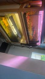 Aquariums op rek, Dieren en Toebehoren, Ophalen, Gebruikt