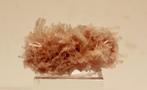 roze GYPSUM uit Australie, Ophalen of Verzenden, Mineraal